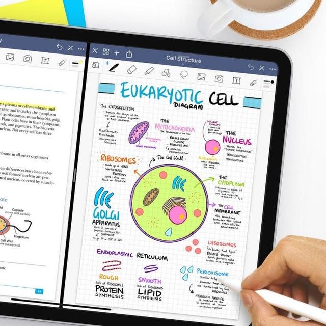 Top 5 App Ghi Chú Trên iPad Mà Bạn Nên Biết